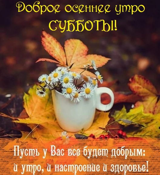 Хостинг картинок yapx.ru