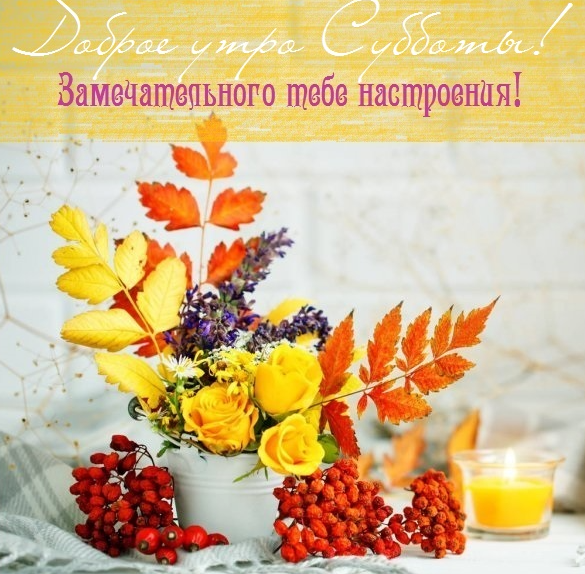 Хостинг картинок yapx.ru