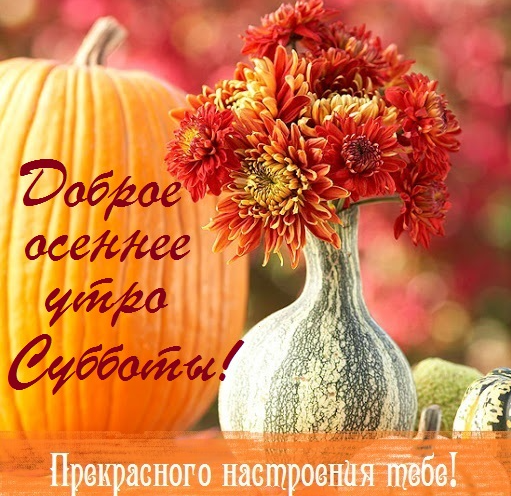 Хостинг картинок yapx.ru