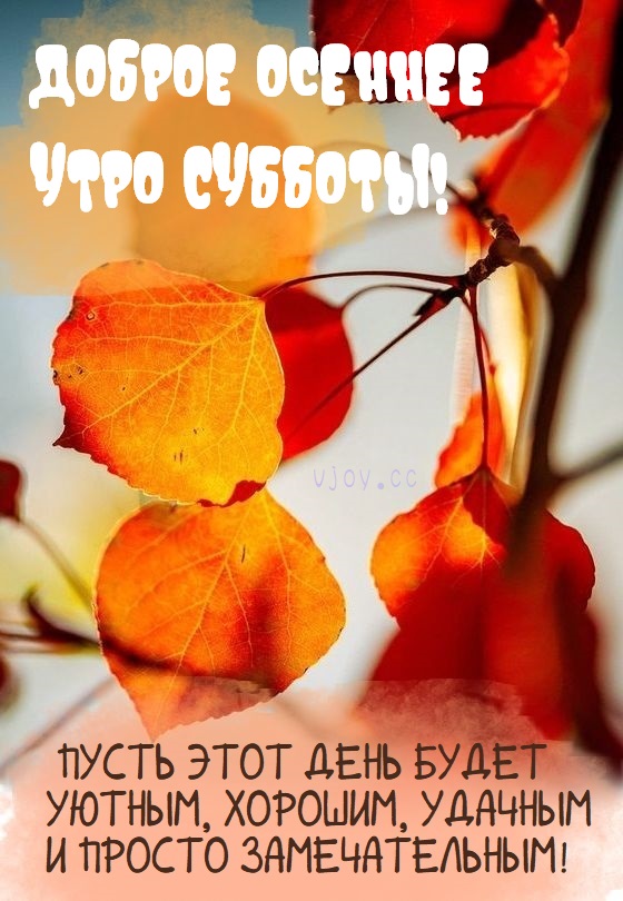 Картинки с Добрым осенним утром субботы и хорошего дня (50 фото)