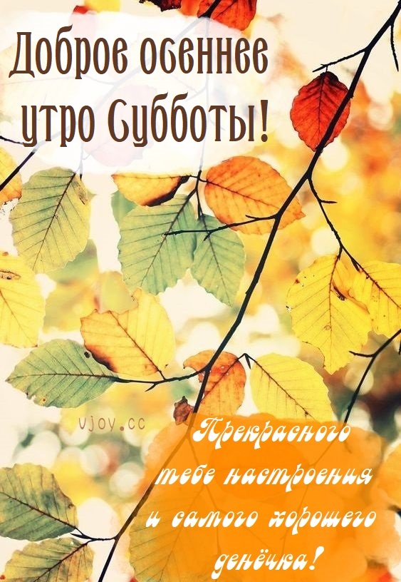 Хостинг картинок yapx.ru