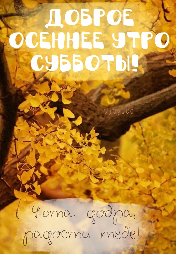 Картинки с Добрым осенним утром субботы и хорошего дня (50 фото)