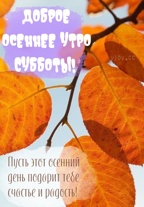 Хостинг картинок yapx.ru