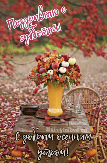 Хостинг картинок yapx.ru