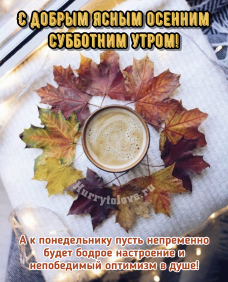 Хостинг картинок yapx.ru