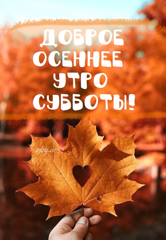 Картинки с Добрым осенним утром субботы и хорошего дня (50 фото)