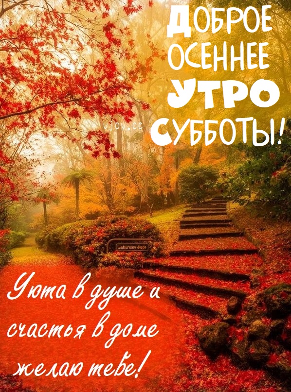 Хостинг картинок yapx.ru