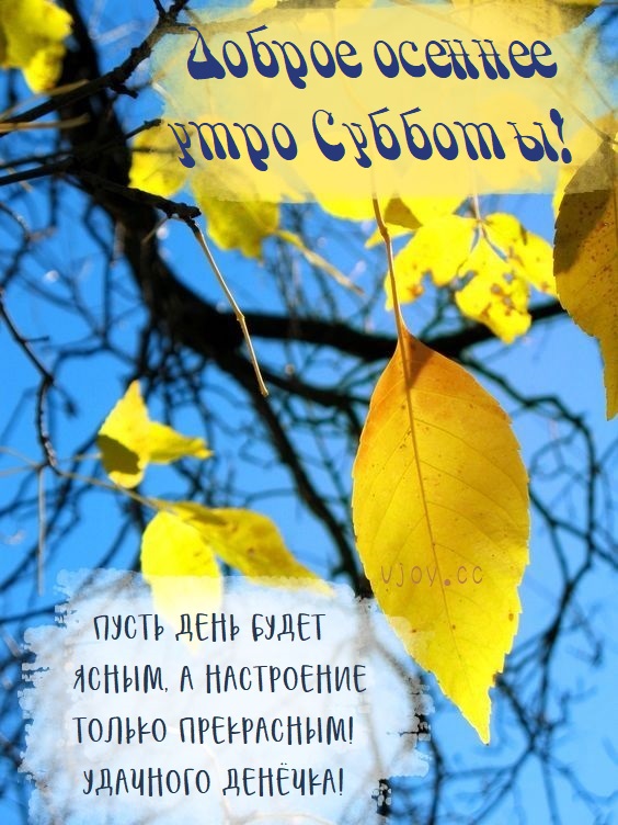 Хостинг картинок yapx.ru