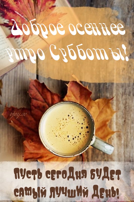 Хостинг картинок yapx.ru