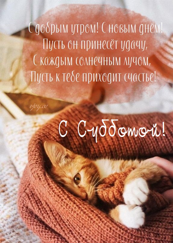 Хостинг картинок yapx.ru