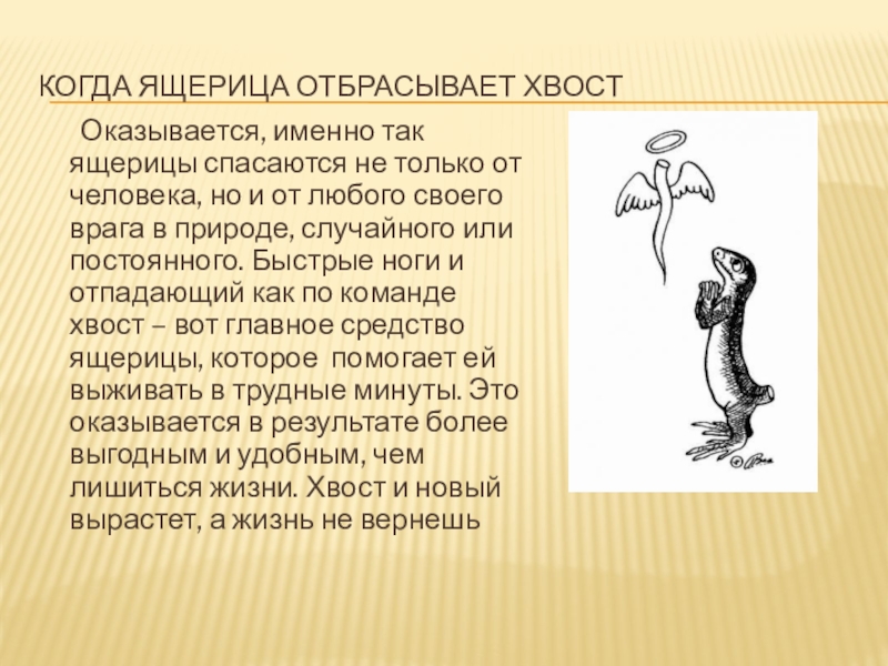 Хостинг картинок yapx.ru