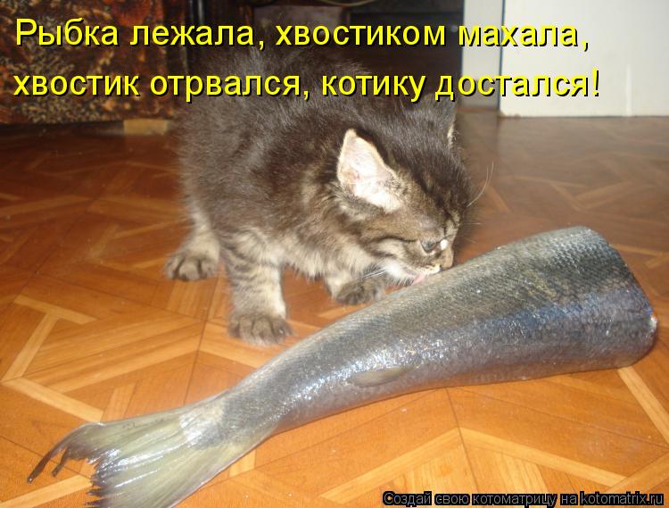 Хостинг картинок yapx.ru