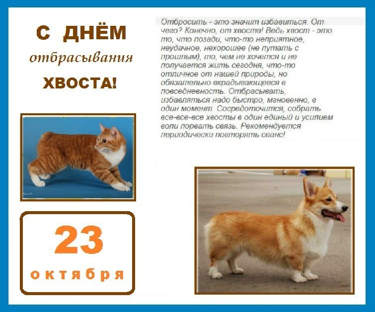 Хостинг картинок yapx.ru