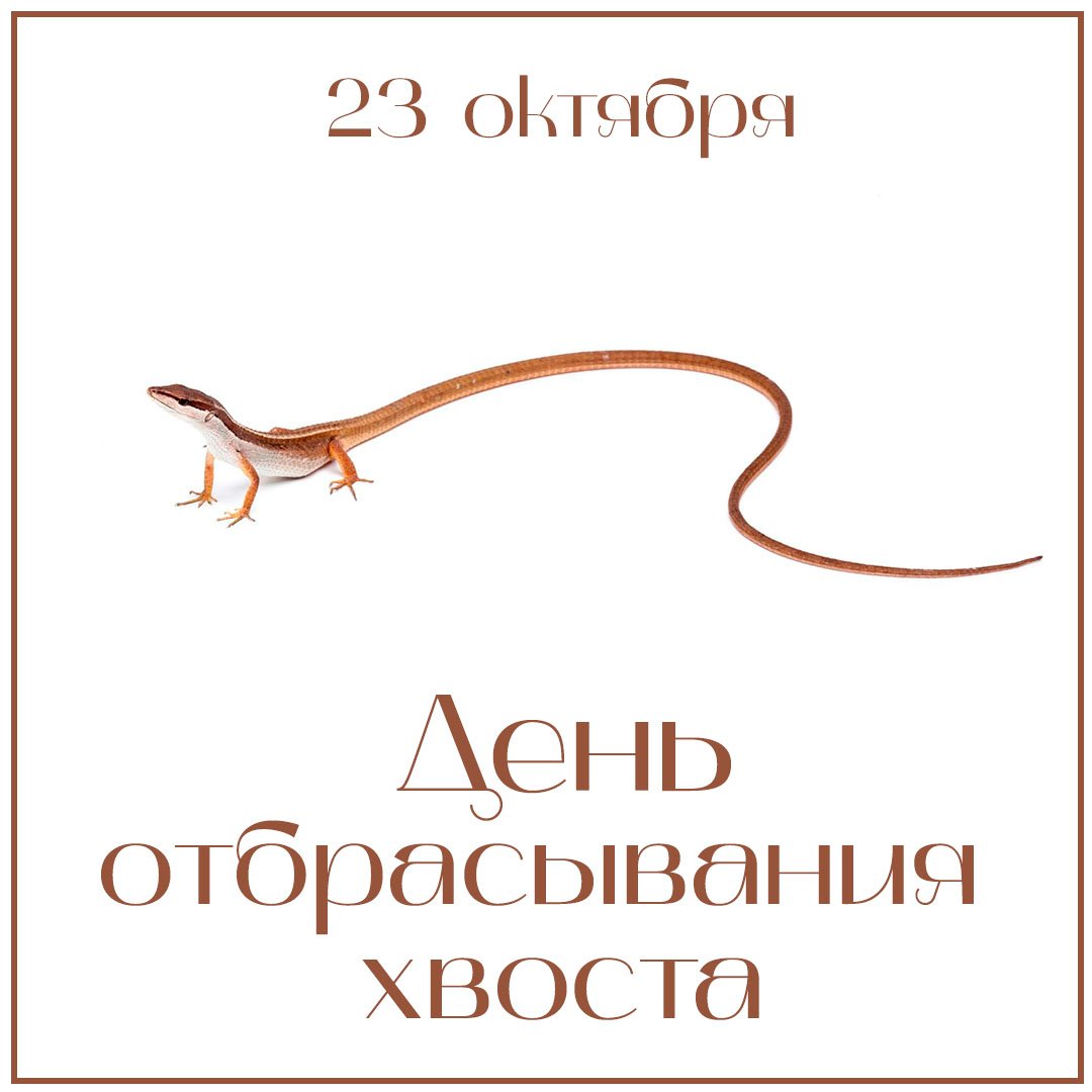 Хостинг картинок yapx.ru