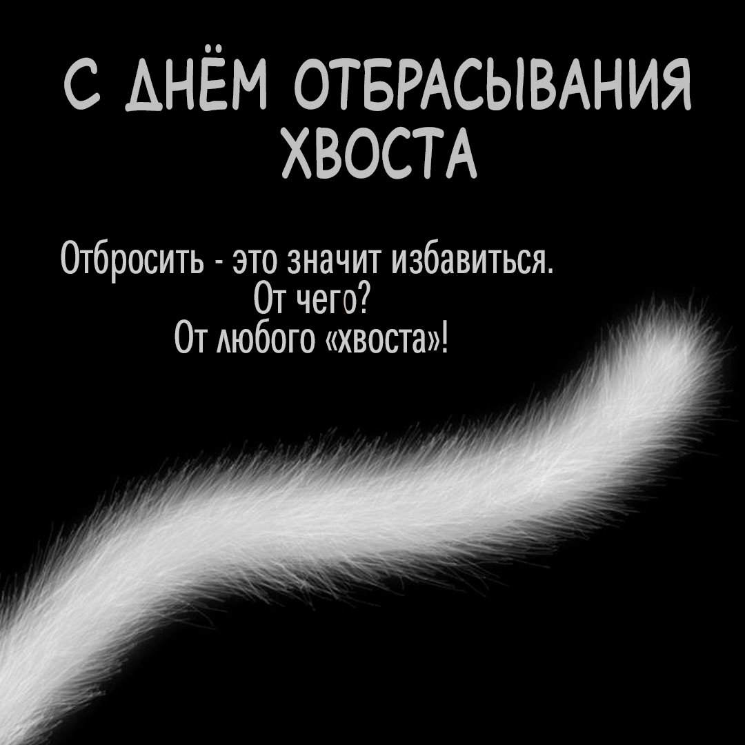 Хостинг картинок yapx.ru