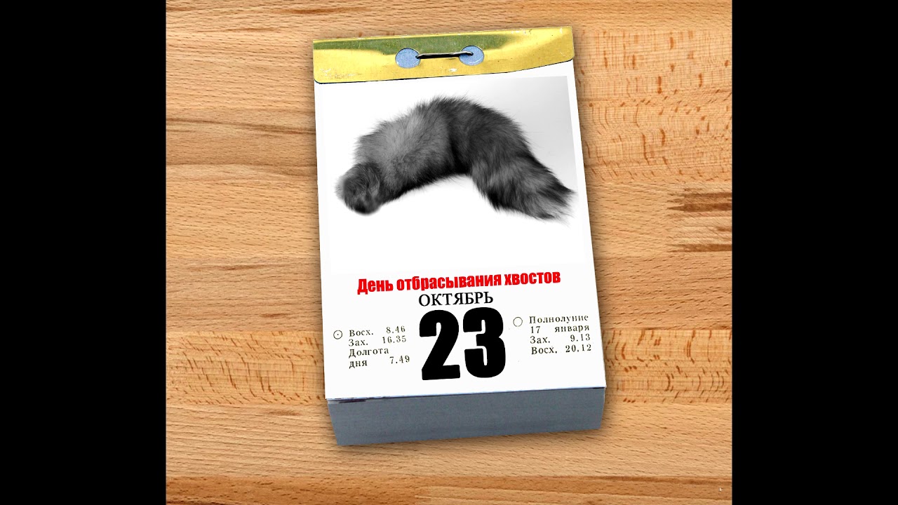 Хостинг картинок yapx.ru