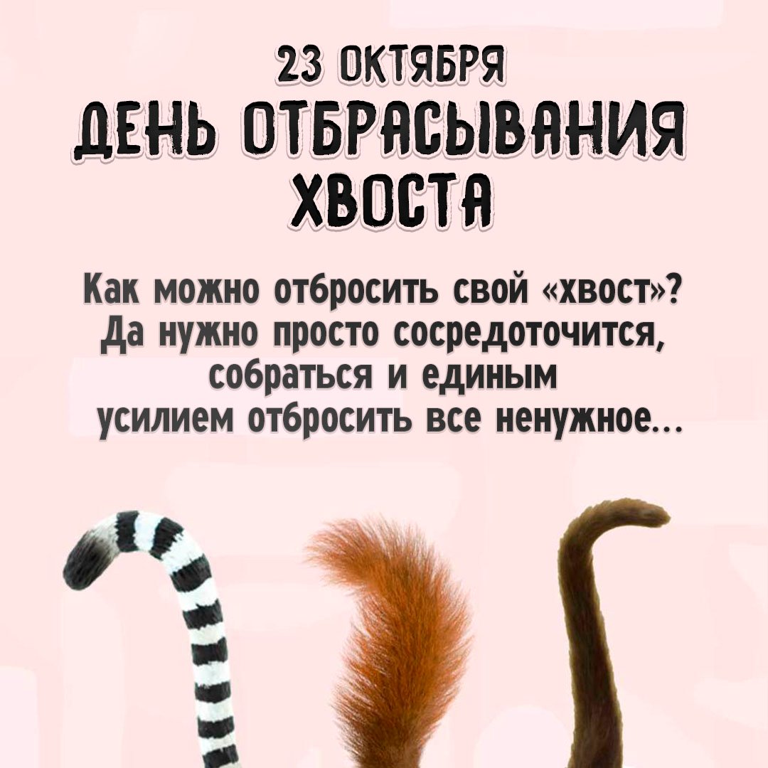 Хостинг картинок yapx.ru