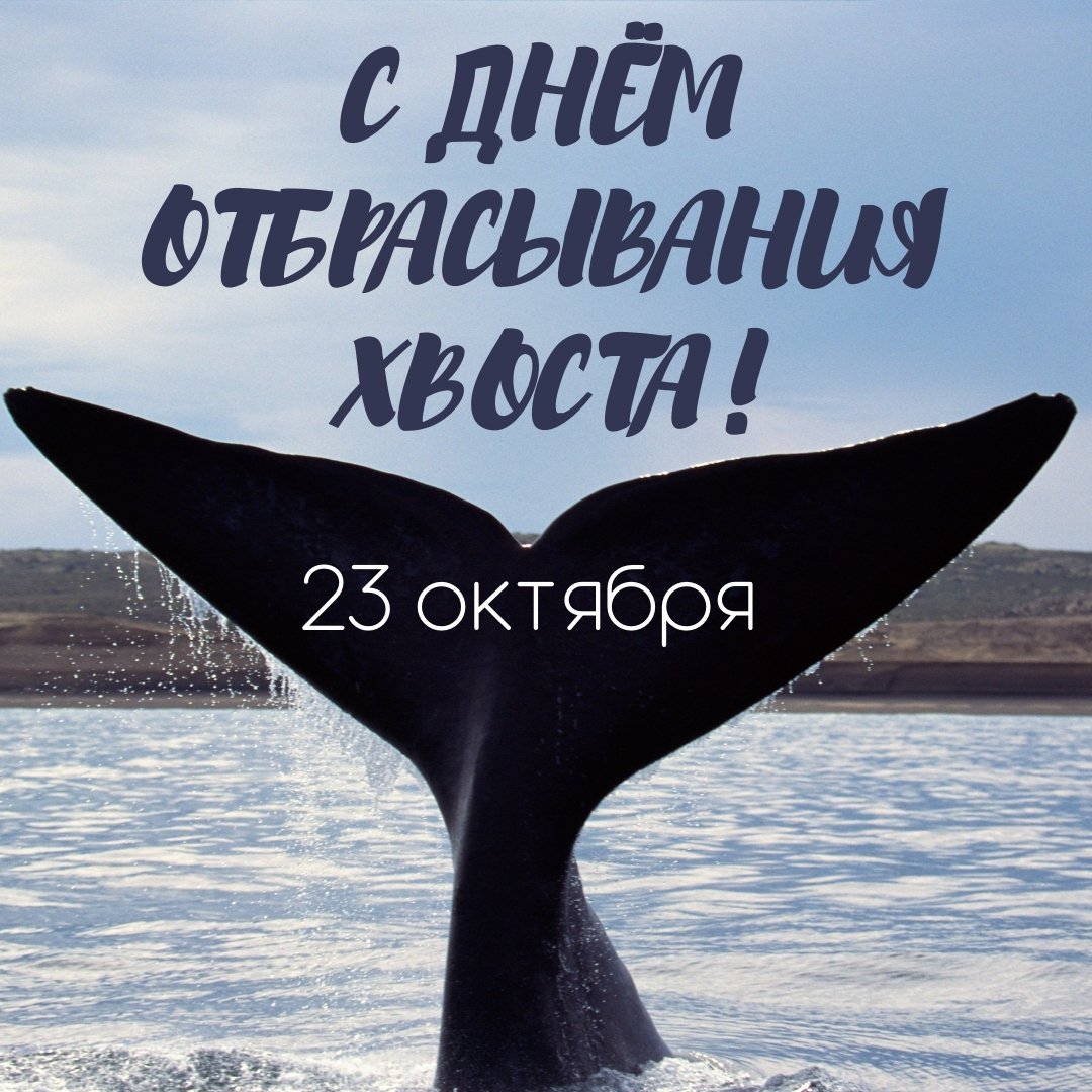 Хостинг картинок yapx.ru