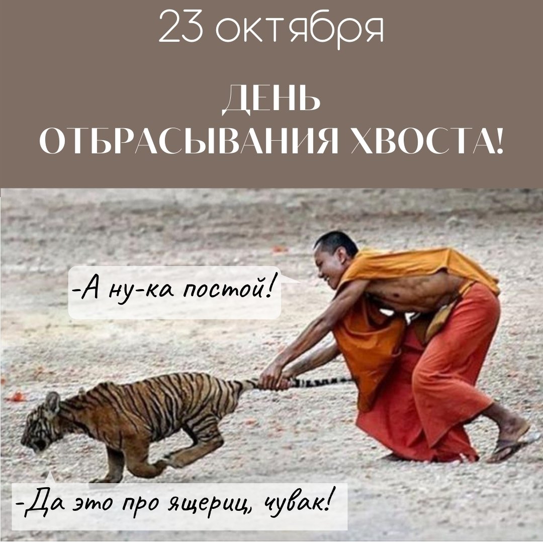 Хостинг картинок yapx.ru