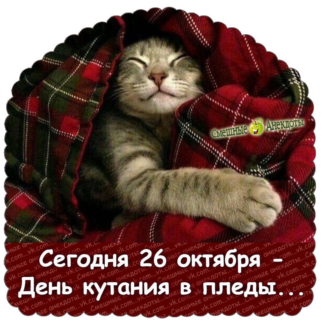 В этой подборке вы найдете массу прекрасных картинок, которые поднимут вам настроение на весь день.