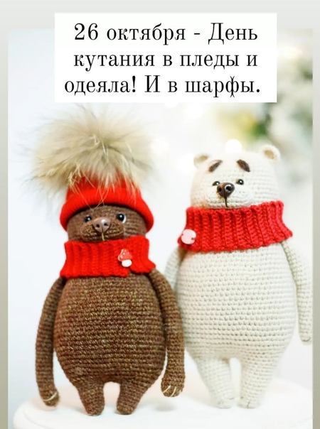 Прикольные картинки на день кутания в пледы.