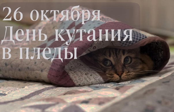 Поздравления в красивых открытках с надписями и пожеланиями, для бесплатного скачивания к празднику на 26 октября 2023.