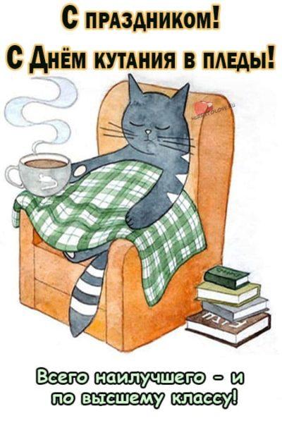Смешные картинки с днём кутания в пледы 26 Октября 2023 (30 фото)