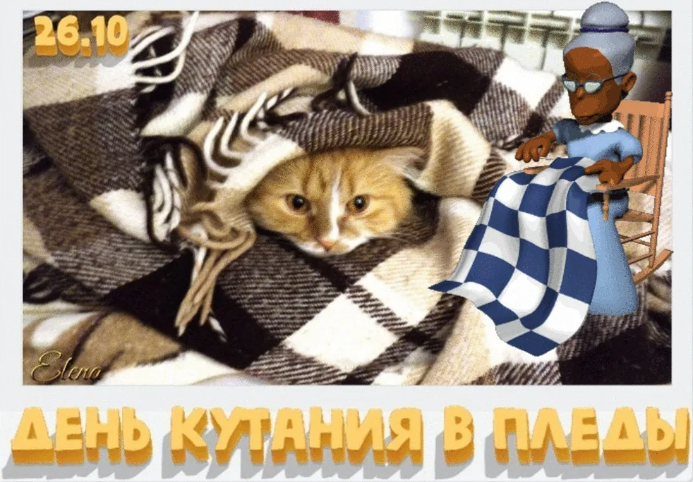 26 октября день кутания в пледы.