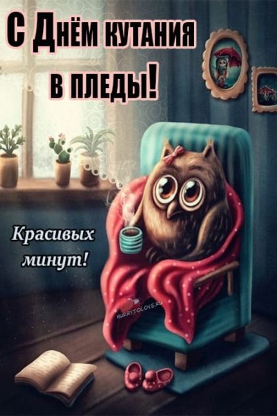 День кутания в пледы и одеяла.