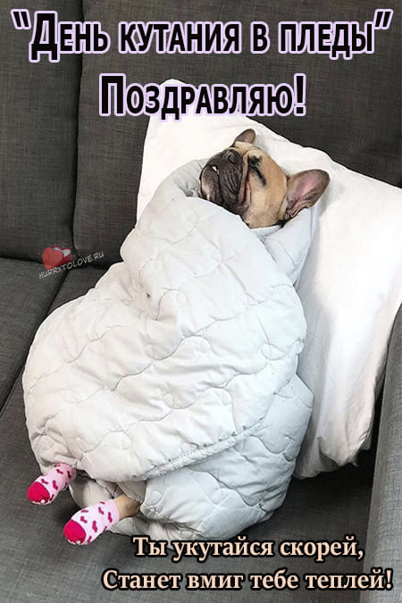 Что может быть приятнее в дождливый осенний день, чем сесть в уютное кресло или на диван, закутаться в теплое одеяло, прихватив с собой книжку, и обо всем позабыть.