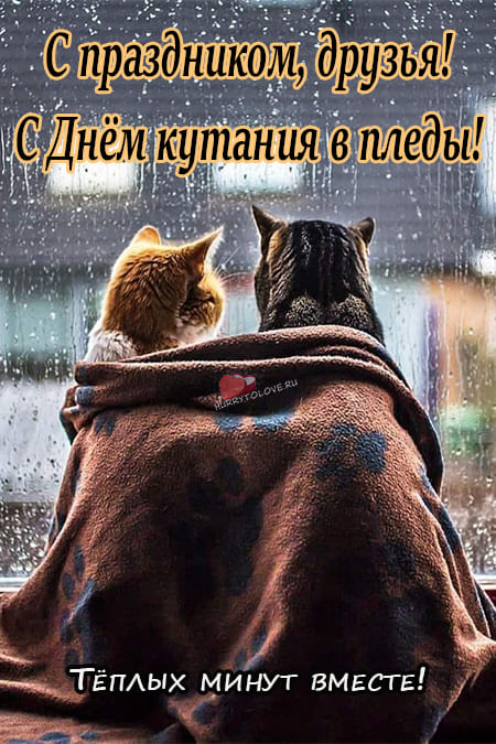 Раз в году, а именно 26 октября, завернуться в шерстяной (или какой у вас имеется в доме) плед или вязаное одеяло.
