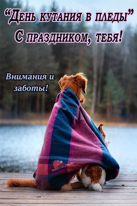 Холодным октябрьским днем, когда за окном сплошная серость, моросит дождь и дует пронизывающий ветер, так хочется тепла и уюта.