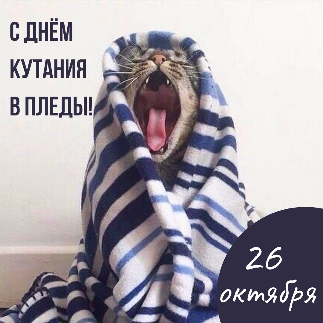 26 октября - День кутания в пледы и мягкие одеяла: смс, красивые открытки с  юмором.