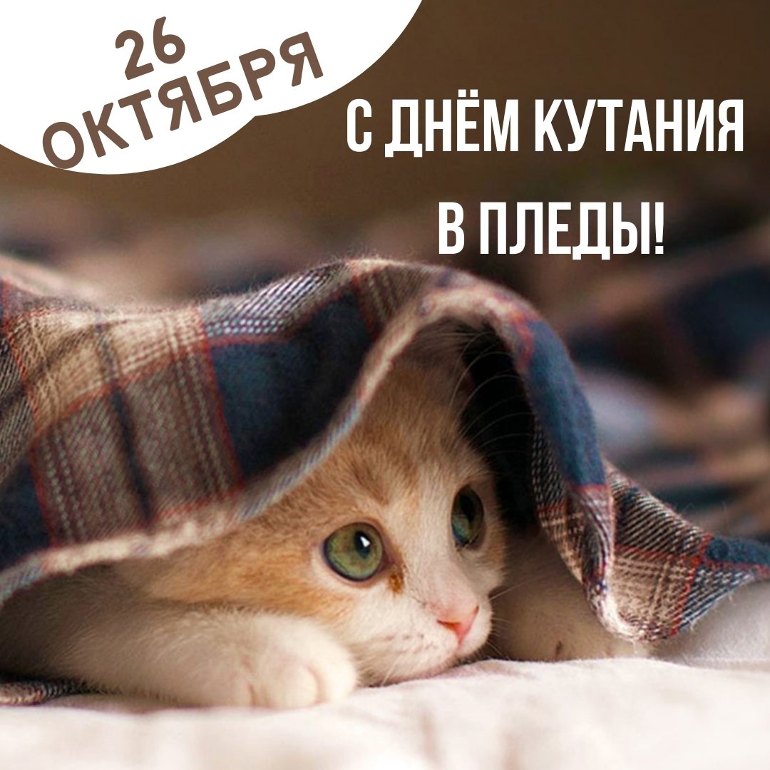 26 октября - День кутания в пледы.