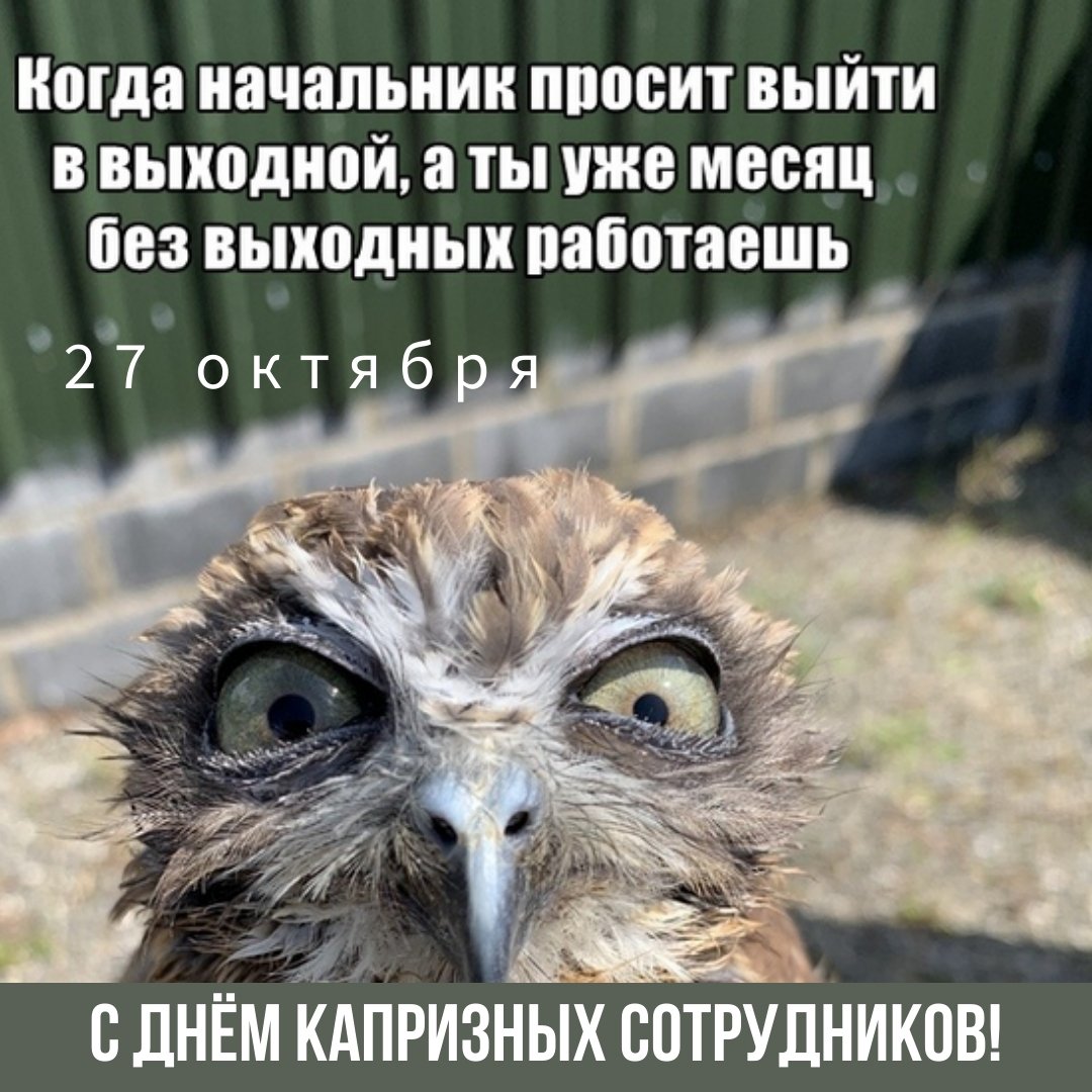 Хостинг картинок yapx.ru