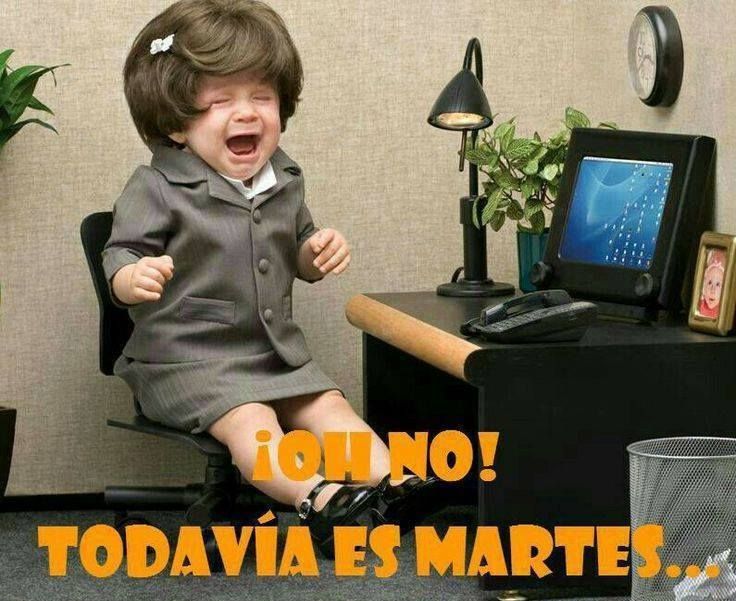 Хостинг картинок yapx.ru