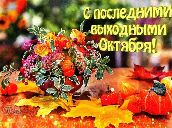 Хостинг картинок yapx.ru