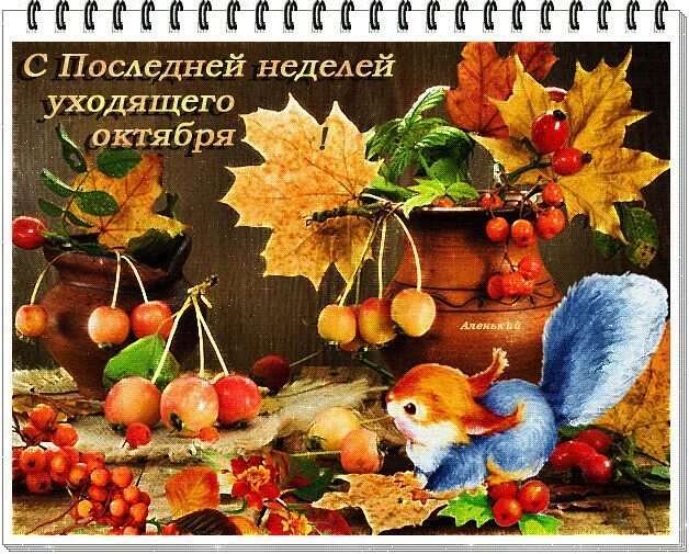 Хостинг картинок yapx.ru