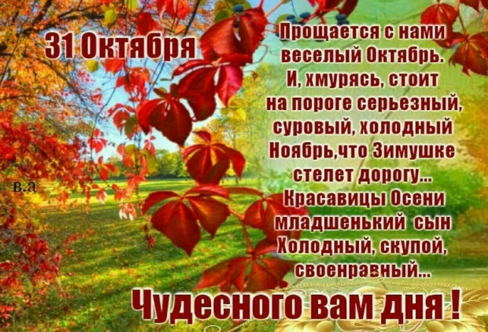 Хостинг картинок yapx.ru