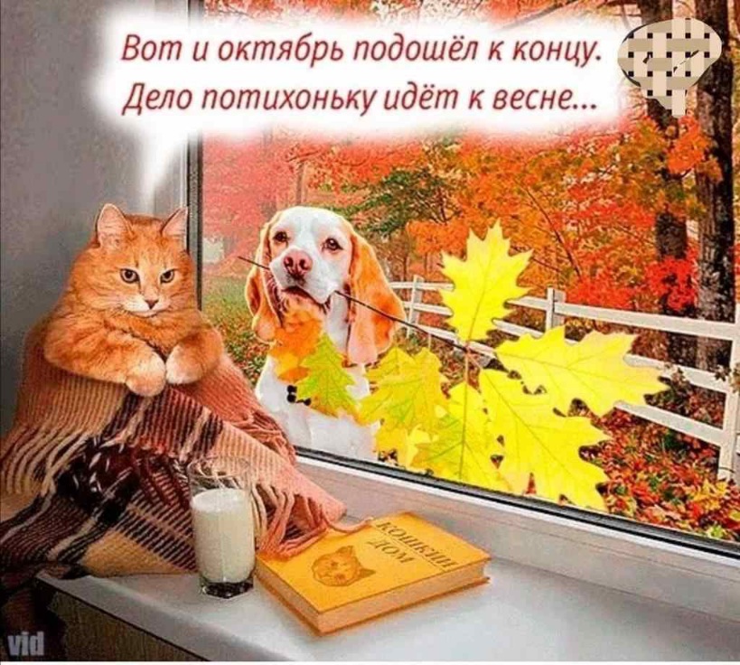 Красивые картинки с последним днём Октября 2023 (31 фото)