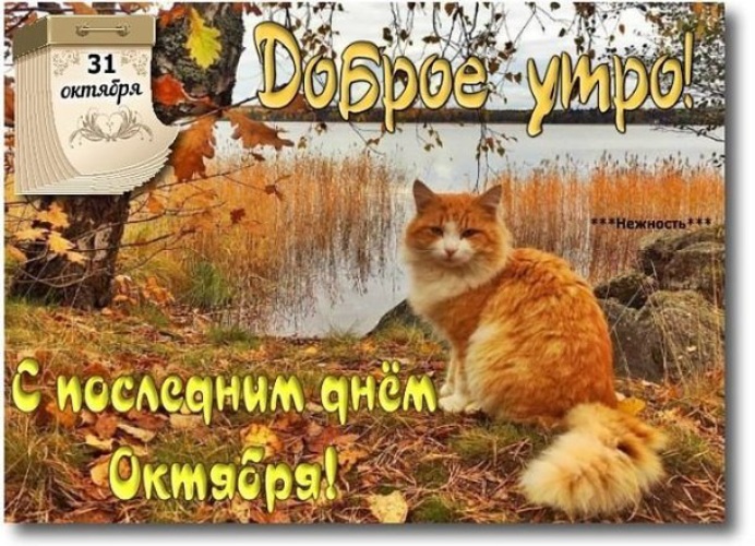 Красивые картинки с последним днём Октября 2023 (31 фото)