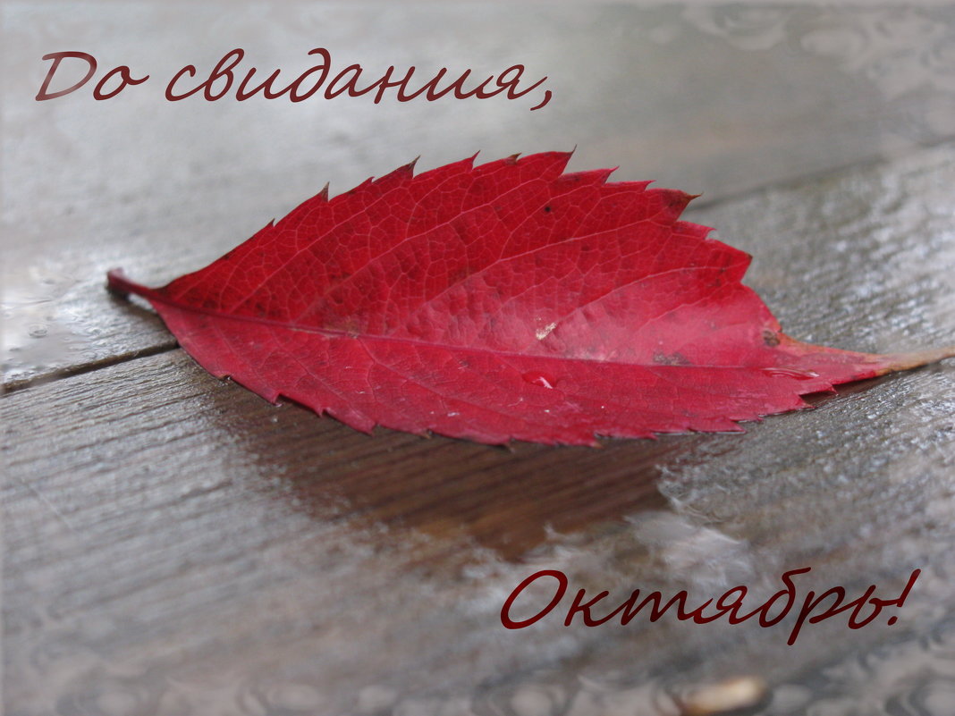 Хостинг картинок yapx.ru