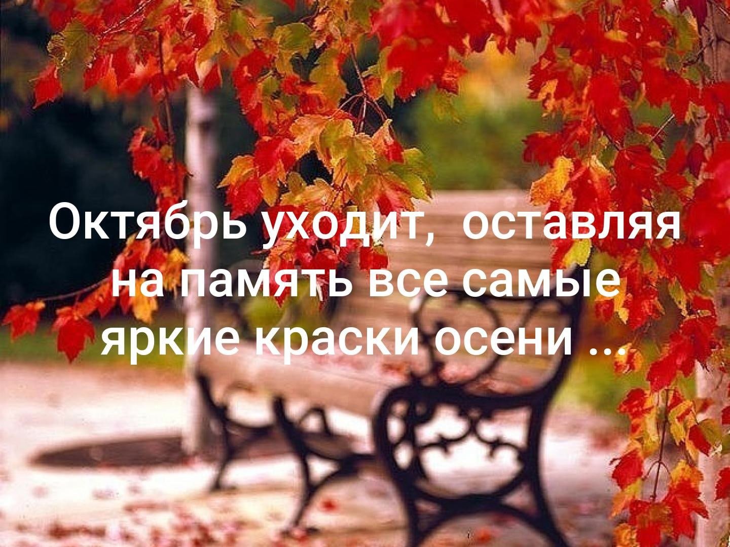 Хостинг картинок yapx.ru