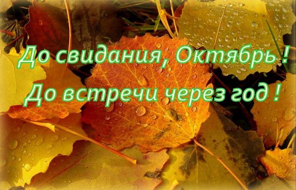 Хостинг картинок yapx.ru