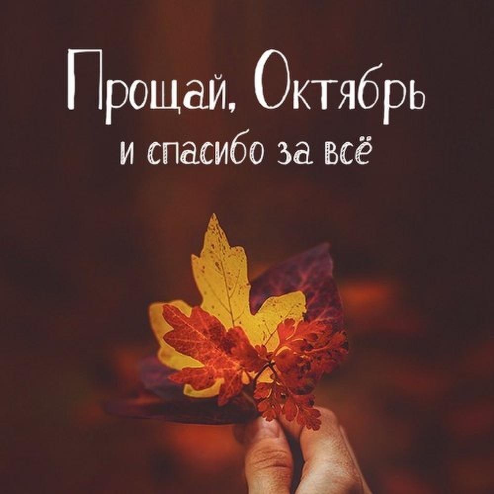 Красивые картинки с последним днём Октября 2023 (31 фото)