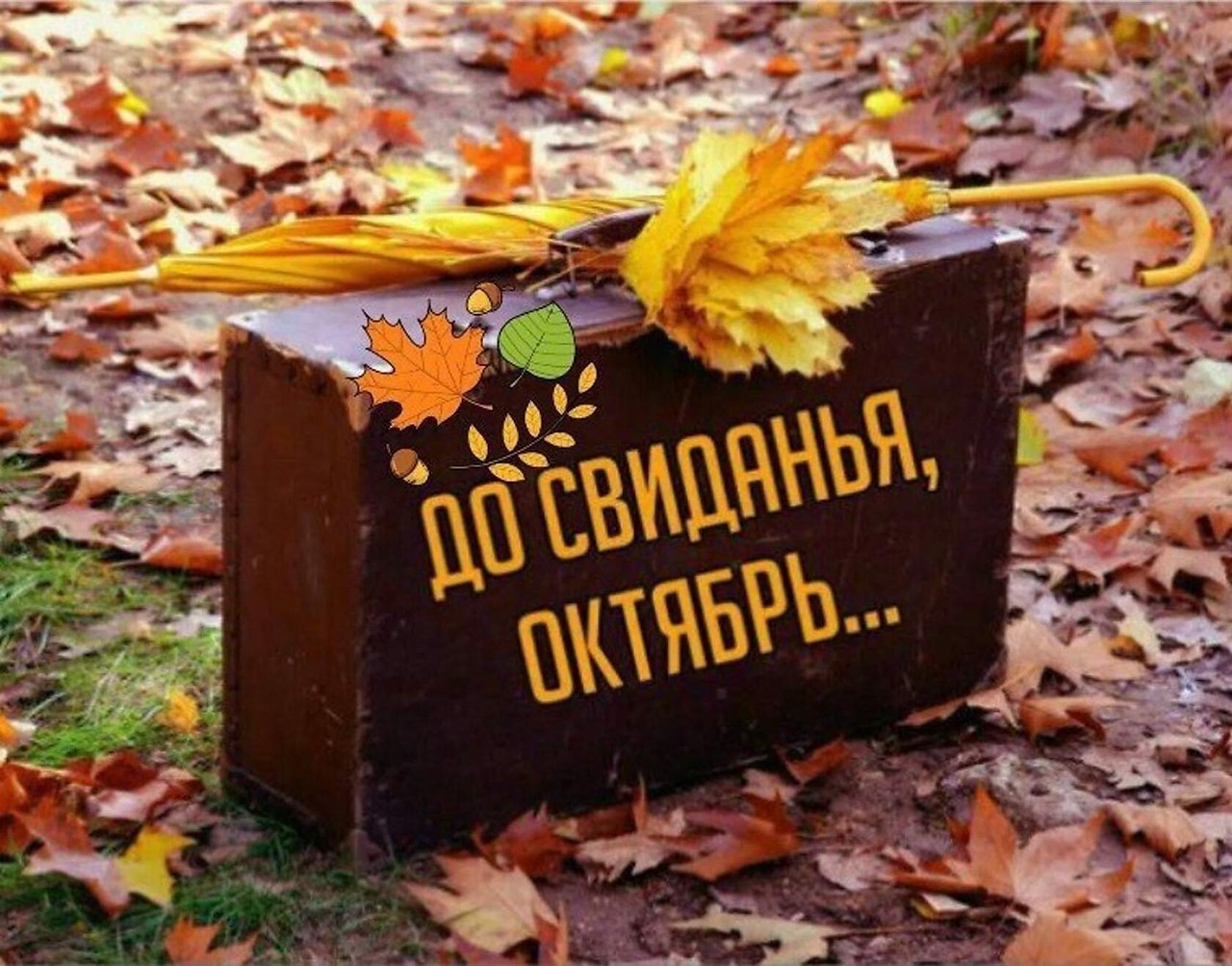 Хостинг картинок yapx.ru