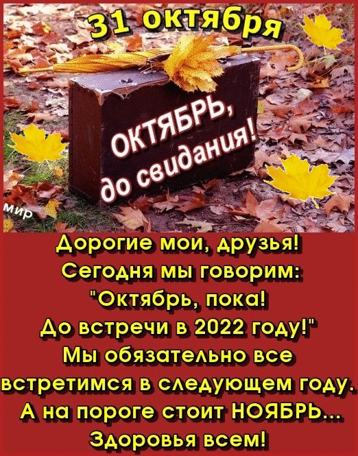 Хостинг картинок yapx.ru