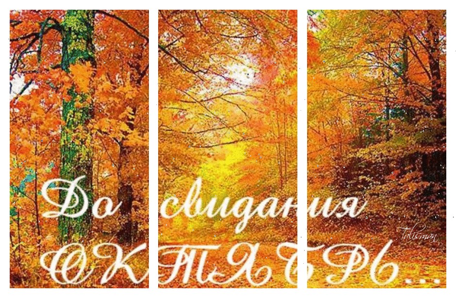 Прикольные открытки до свидания Октябрь, пока, до встречи через год, последние дни