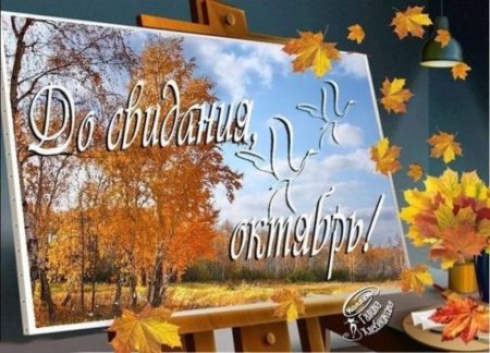 Хостинг картинок yapx.ru