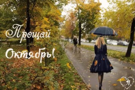 Хостинг картинок yapx.ru